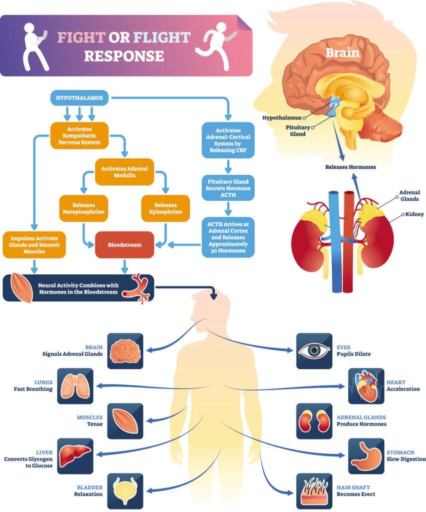 Anxiety Disorders | ANXIETY MENTOR Anxiety & Phobia Specialists